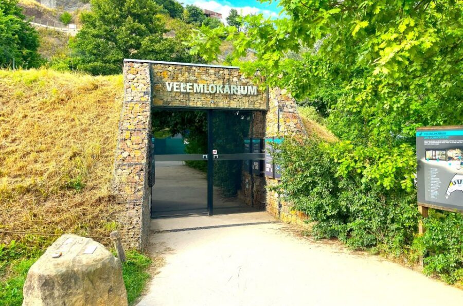 Prague Zoo Online Audio Guide (No ticket) - Internet required: keep your device ready