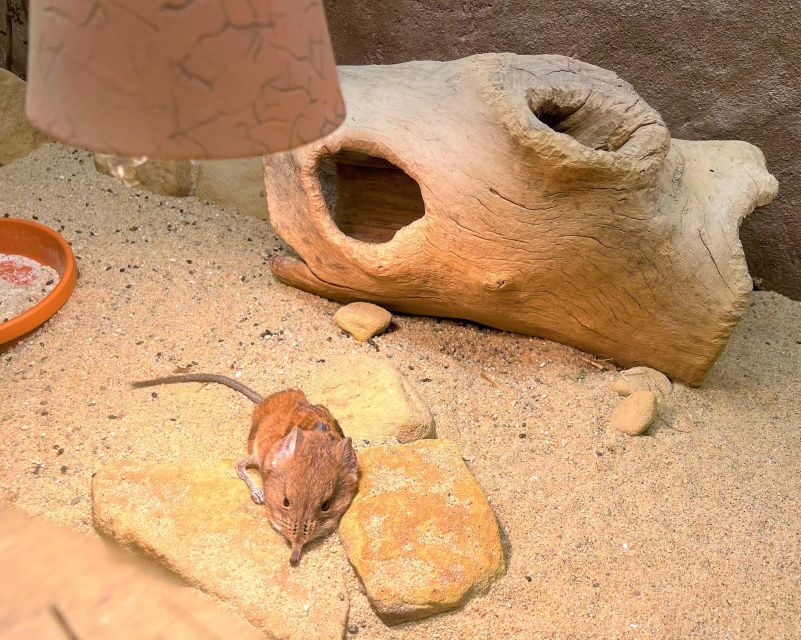 Prague Zoo Online Audio Guide (No ticket) - Value check: $5 worth it when you still need zoo admission