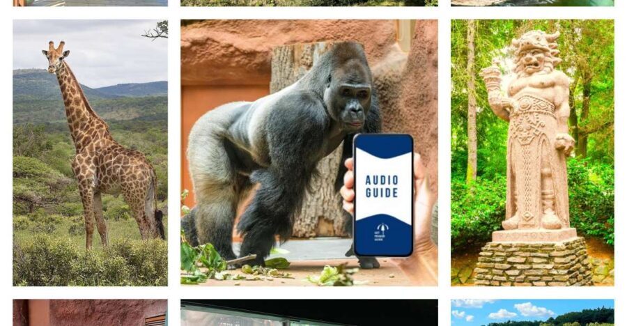 Prague Zoo Online Audio Guide (No ticket) - Should you book this Prague Zoo audio guide?