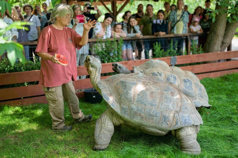 Prague Zoo: Skip-the-Line Entry Ticket - Key highlights at a glance