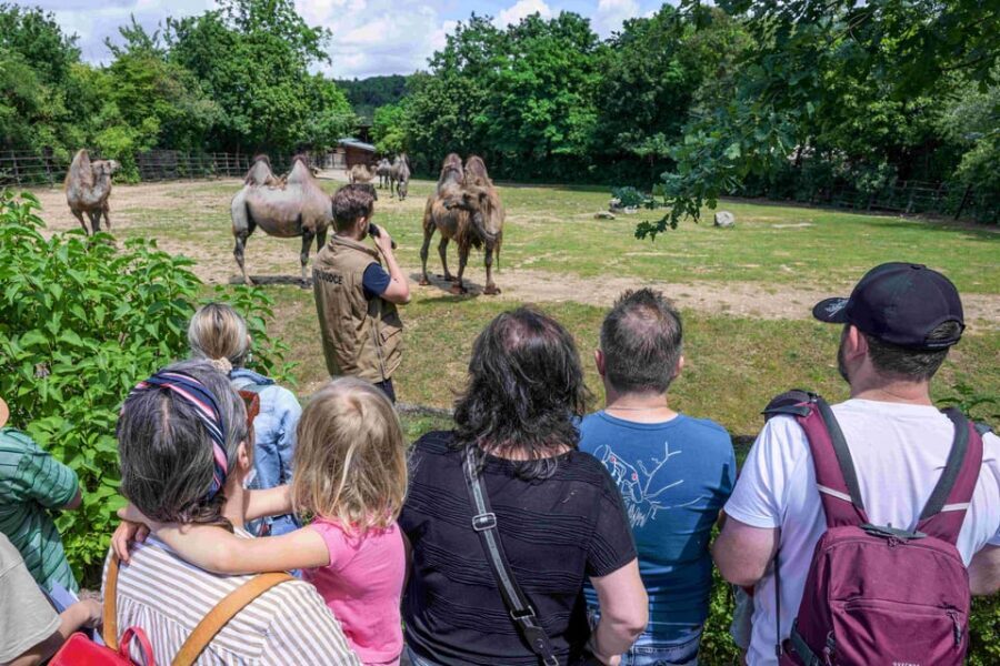 Prague Zoo: Skip-the-Line Entry Ticket - Building your self-guided route (without getting lost)