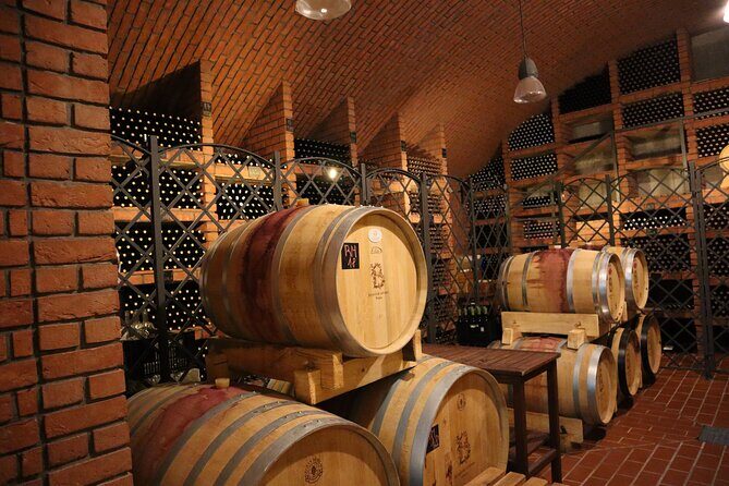 Prague´s Hidden Vineyards Private Tour - Prague Botanical Garden: a cellar stop that most people never see