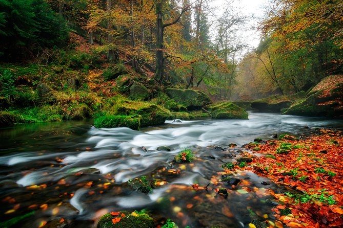Private Custom Full day tour - Top Highlights of Bohemian & Saxon Switzerland - Price and Value: Why $628.87 Can Still Make Sense