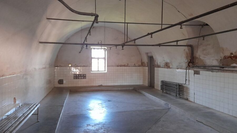 Private Half-Day Tour To Terezin Concentration Camp - Key Highlights You’ll Actually Feel During This Tour