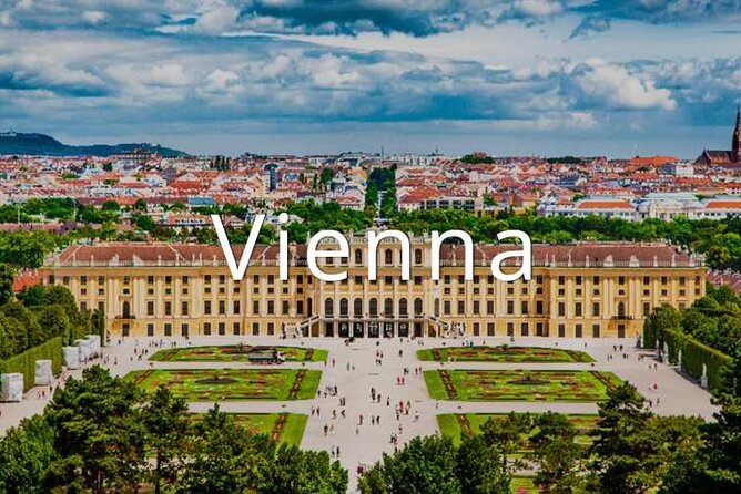 Private one way transfer from Cesky Krumlov to Vienna - What the Reviews Tell You About the Driver Experience