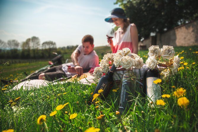 Private PICNIC in Bohemian Vineyards and Wine Tasting 4WD Tour - The 5-hour rhythm: about 3 hours out in the countryside