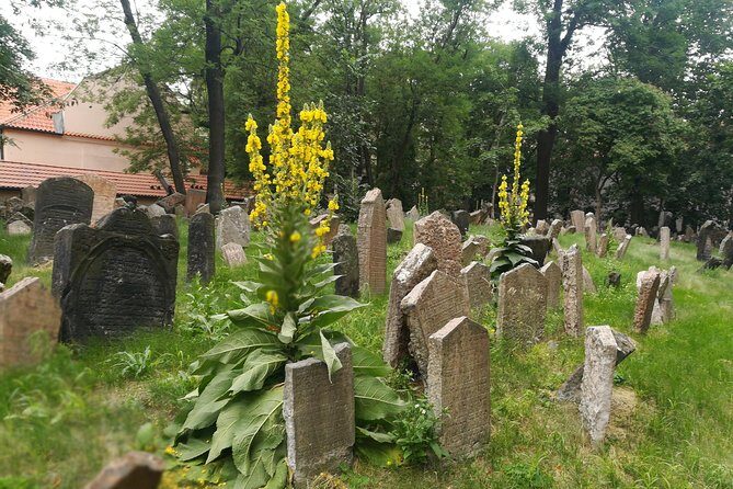 Private Stories of Jewish Prague Walking Tour - Jewish Town Hall in Josefov: the Mordechai Maisel link