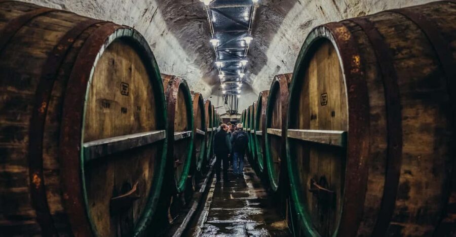 Private Tour to Pilsner Urquell from Prague - What Happens Inside the Pilsner Urquell Brewery (and why tasting in phases is smart)