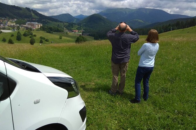 Private Transfer Prague to Passau or Passau to Prague with stop in Cesky Krumlov - Who should book this transfer (and who might prefer DIY)