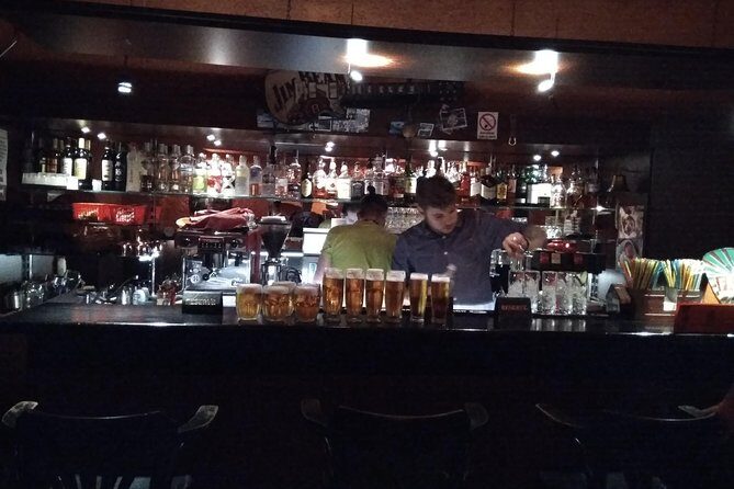 PUB und CLUB Crawl in the Czech Republic: Pilsen - Who this Pilsen pub and club crawl suits best
