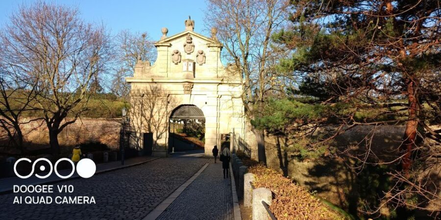 Real life in Prague - Easy Walk from Vysehrad to Vyton - Dog time: Bison is part of the itinerary, not a gimmick