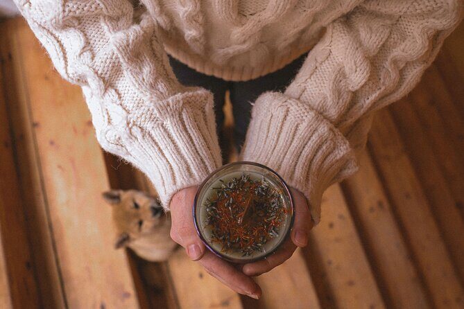Soy Candles Workshop in Prague - Finding Cat on the Moon in Prague 2-Vinohrady