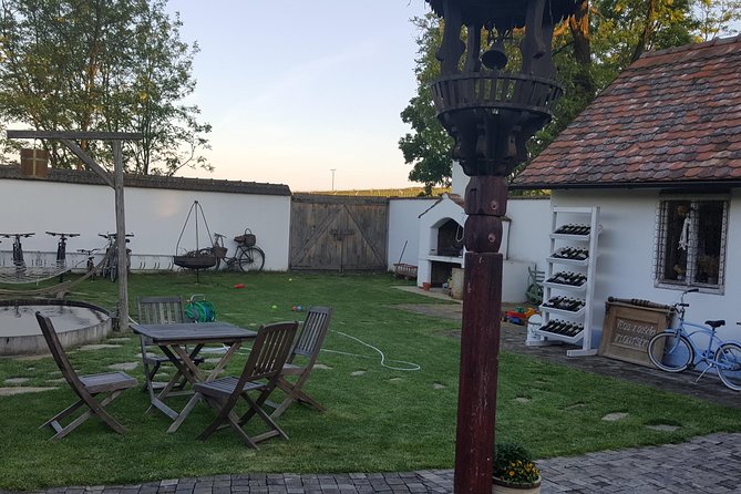 Ultimate private wine tasting experience from Prague to Moravia (3 days) - Wine tasting, but make it useful: how to get more from the glass