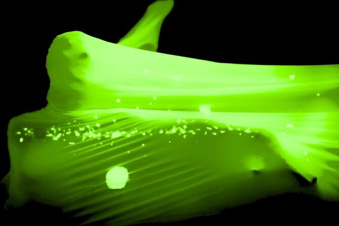 Underground Black Light Theatre Interactive Show in Prague - Music matters: Hoidekr originals and big-name hits