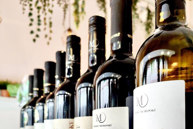 Wine Tasting and History Prague - The 3:00 pm Start and What It Means for Your Day