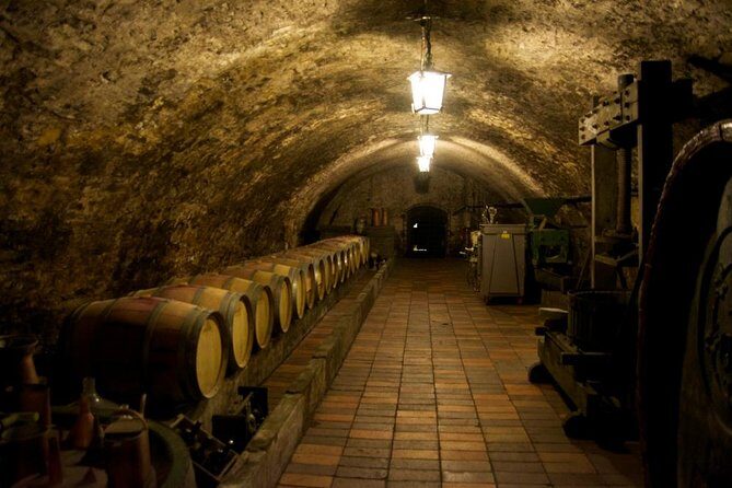 Wine Tasting Day Trip from Prague to Melnik - Key points worth knowing